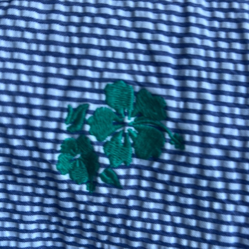 EUC Brooks Brothers 346 Seersucker Shorts w/ Green Embroidered Flowers Size 40